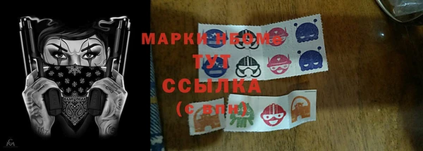 ГАЛЛЮЦИНОГЕННЫЕ ГРИБЫ Михайловка